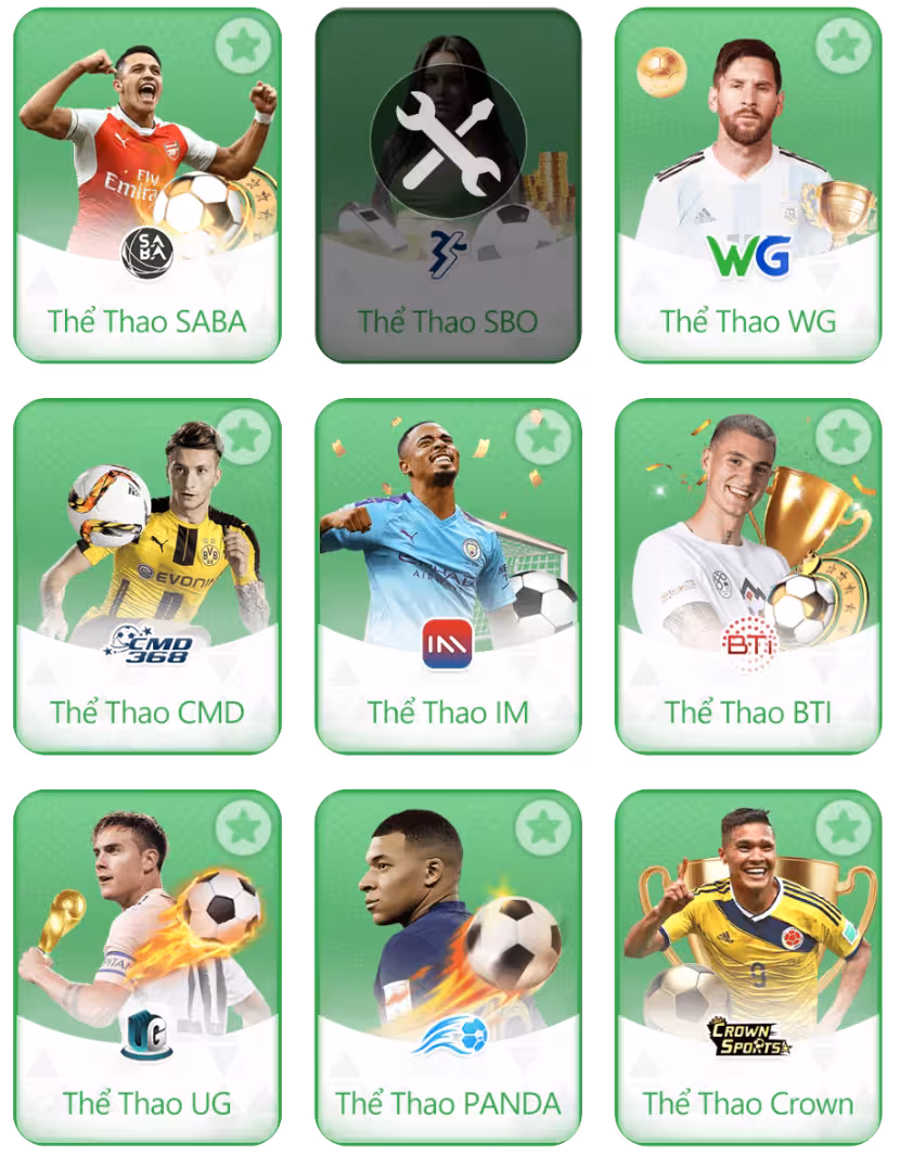 Thể thao 13win28